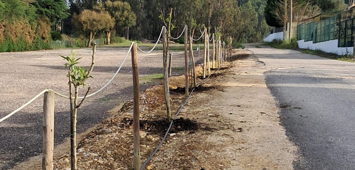 Imagem - IP Dia Mundial da Terra