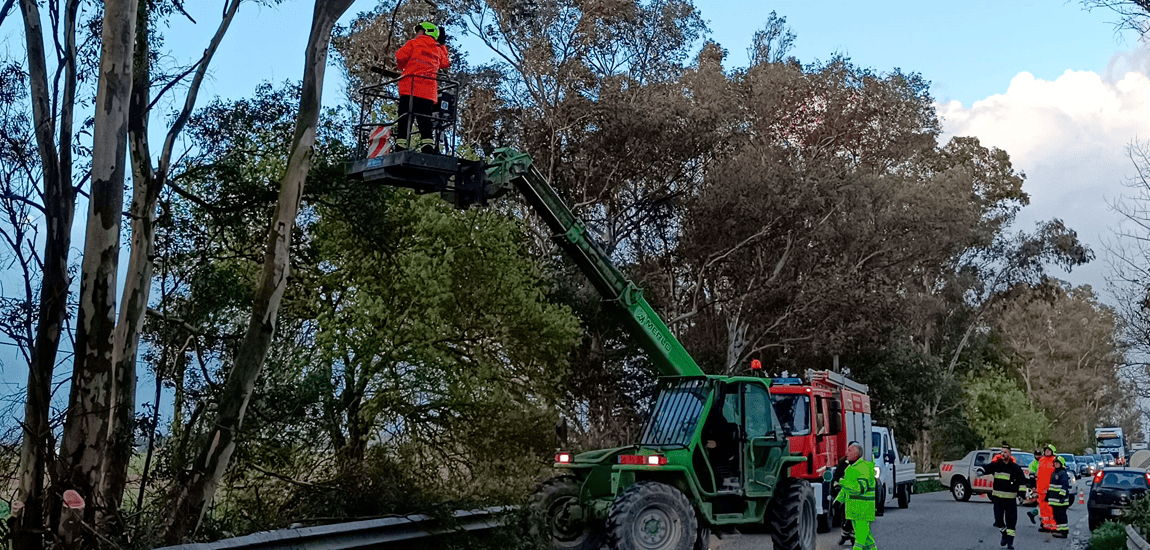 Imagem - IP campanha Bombeiros Almeirim