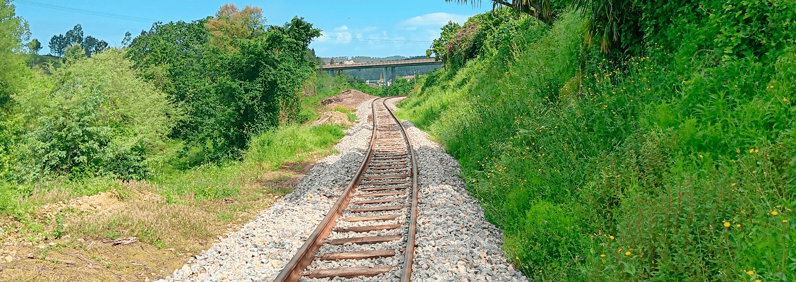 Imagem - Linha do Vouga