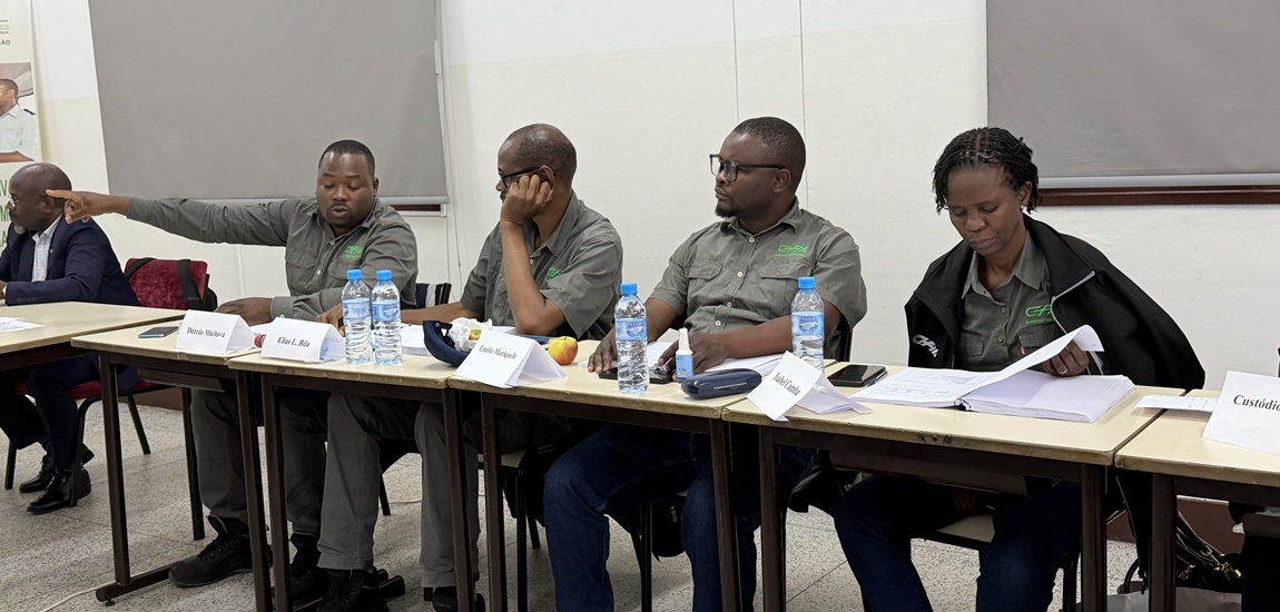 Ações de formação ferroviária avançam em Moçambique e Angola