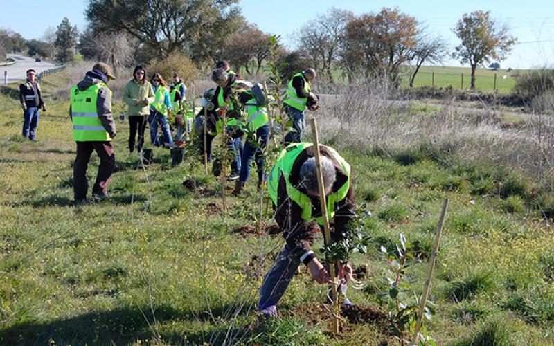 Environmental Volunteer Work