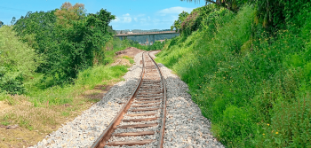 Imagem - Linha do Vouga